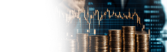 What are the Different Types of Shared Capital? What are the Different Types of Shared Capital?